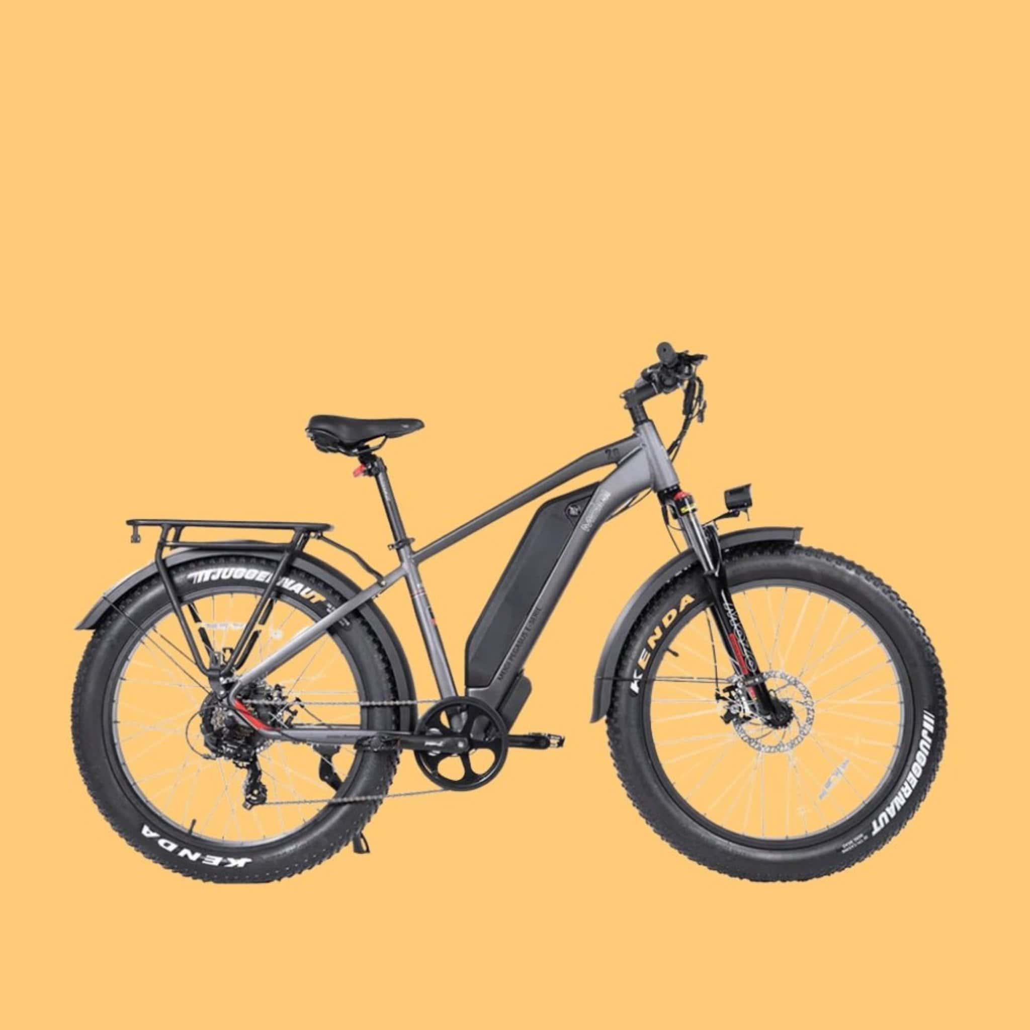 Dwmeigi MG8713 Pegasus 26-Inch 48V/16AH 750W Fat Tire Electric Bike, 280LBS (SAK96845) - Image 16