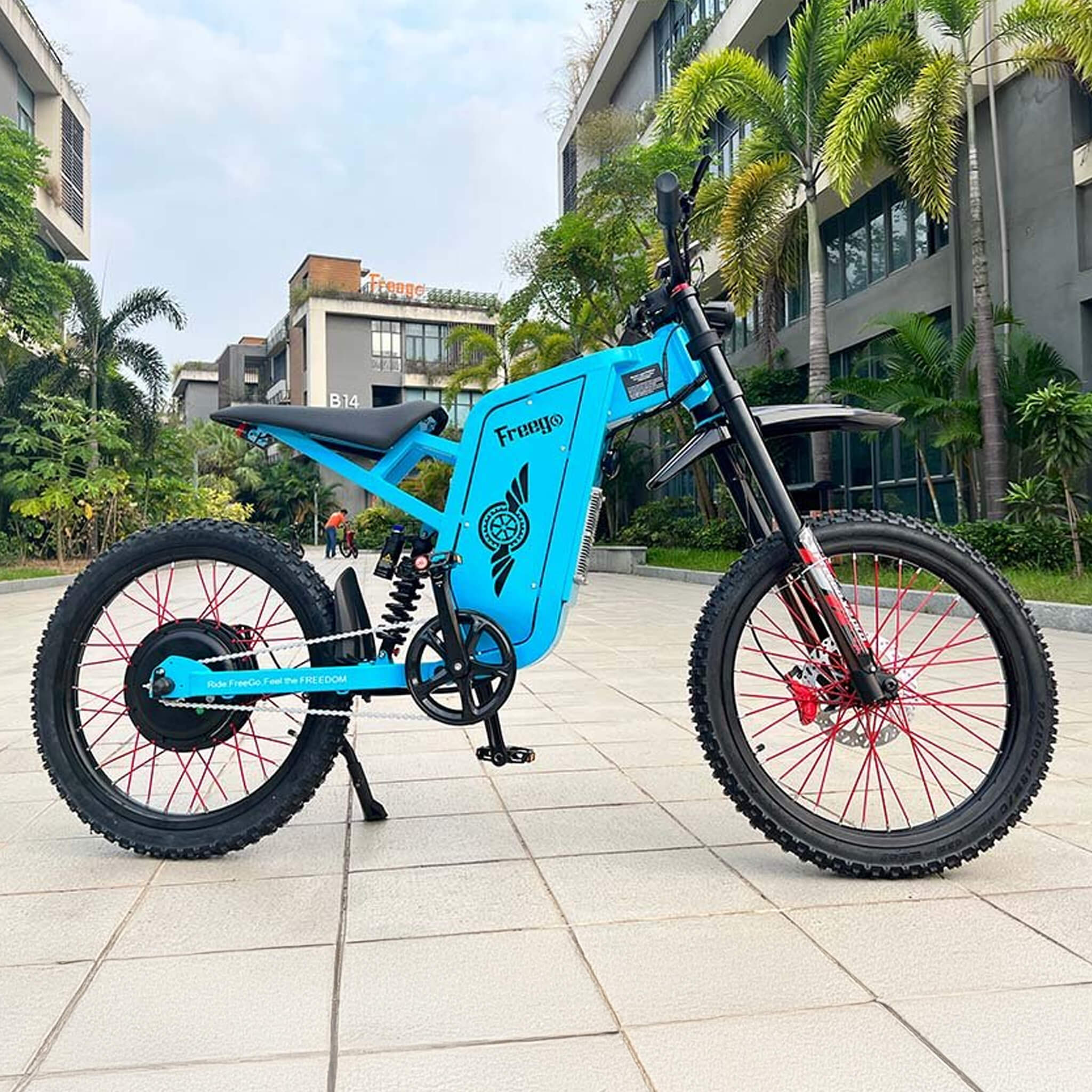 Freego X2 (X2 Pro) All-Terrain Mountain Off-Road Motorcycle, 3000W (SAK91725) - Image 9
